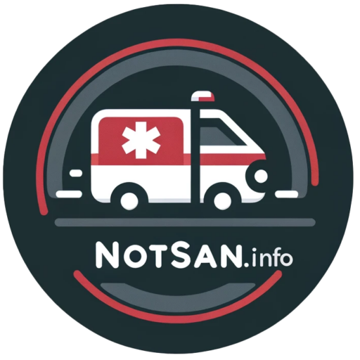 Notsan Logo